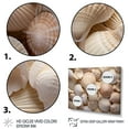 thumbnail image 3 of Designart "Beige Clam Seashell Euphony I" Clam Floater Framed Wall Art Print, 3 of 7