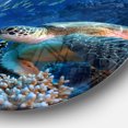 thumbnail image 3 of Designart - Large Sea Turtle underwater' Ultra Vibrant Abstract Metal Circle Wall Art, 3 of 4