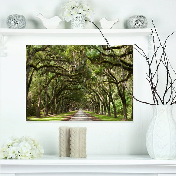 Design Art - Live Oak Tunnel