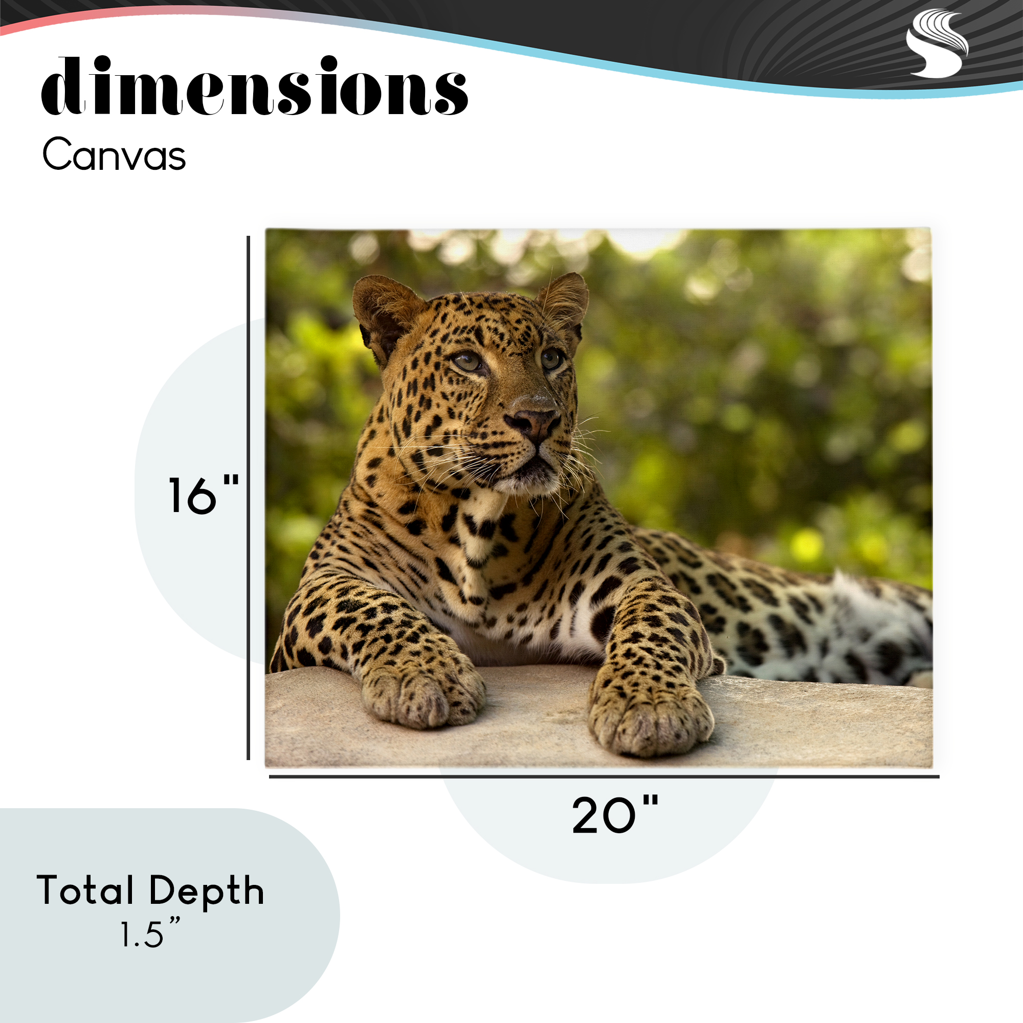 Leopard Gazing Relaxation Canvas Wall Art, design by MJ Photography