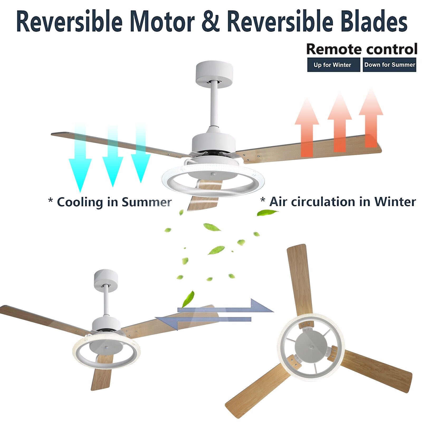 How Ceiling Fan Works Animation Shelly Lighting