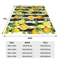 thumbnail image 3 of Pofeuu Orange and Lemon Print Ultra-Soft Micro Fleece Blanket,for Bed Or Sofa,All Season Throw Blankets Flannel Blanket-50"x40", 3 of 7