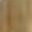 Beige1, variant on Plebaso Womens Summer Casual Shorts Plus Size Drawstring Shorts Elastic Waist Lightweight Shorts for Women