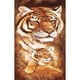 thumbnail image 1 of Wdftyju Tigre familia pintura al óleo por números Kits lienzo cuadro pared arte DIY (B741) Wdftyju 6dt5ms9td0ys8ay3D04, 1 of 9