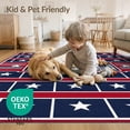 thumbnail image 4 of ODIKA Front Vintage Door Patriotic Motif Featuring Alternating Stripes Non-Slip Chair-Friendly for Dining Room, Basement, Large Office, 4 of 7