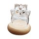 thumbnail image 5 of Alcancía de vidrio, tarro para ahorrar dinero para niños, botella de almacenamiento decorativa con madera Claro, 5 of 9