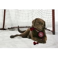 thumbnail image 2 of Pets First NHL Montreal Canadiens Hockey Puck Toy - Heavy-Duty Durable Rubber Dog Toy, 2 of 4