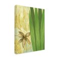 thumbnail image 2 of Trademark Fine Art 'Tall Narrow Palm' Canvas Art by Pablo Esteban, 2 of 3