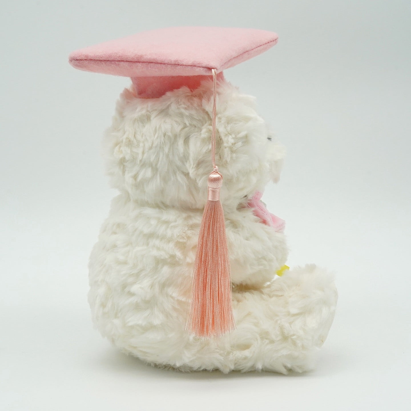 Aurorax Graduation Bear Graduation Plush Soft Stuffed You Did It Doctoral Cap 2026 Graduation Party Decorations