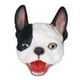 thumbnail image 1 of Marioneta de mano linda, Marioneta de mano de perro Marioneta de mano realista Marioneta de mano de animal Valor inmejorable, 1 of 8