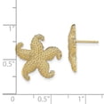 thumbnail image 5 of Auriga Fine Jewelry 14K Yellow Gold Puffed Starfish Stud Earrings for Women, 5 of 5