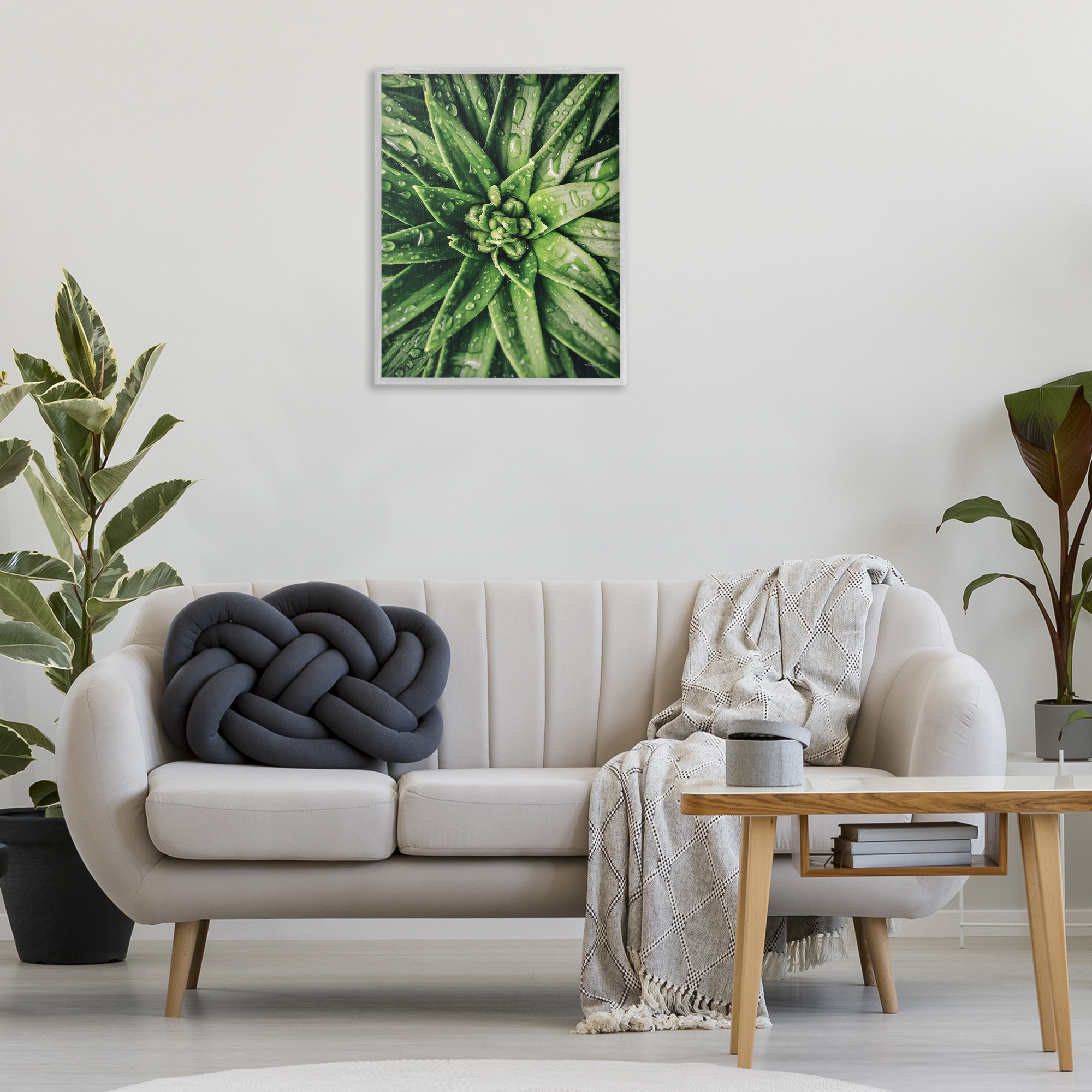 Stupell Industries Succulent in Rain Botanical & Floral Photography Gray Framed Art Print Wall Art, 24 x 30