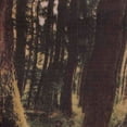 thumbnail image 2 of Cojín Grande anticolicos Angelcup, 2 of 2