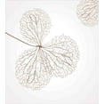 thumbnail image 3 of Flower Duvet Cover Set, Abstract Plant Floral Design with Veins Natural Botanic Plants Image Art, Decorative 3 Piece Bedding Set with 2 Pillow Shams, Queen Size, White and Brown, by Ambesonne, 3 of 3