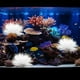 thumbnail image 2 of Decoración de plantas acuáticas artificiales Planta acuática falsa Decoración de césped falso Acuario Planta falsa, 2 of 8