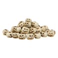 thumbnail image 2 of CarpNettore 20Pcs Halloween Pumpkin Statue Resin Figurine Collectible Artwork Gift Sculpture White, 2 of 9