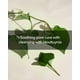 thumbnail image 5 of Espuma limpiadora Mary&May Houttuynia Cordata + Tea Tree 150 ml, 5 of 9