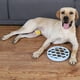 thumbnail image 3 of Cuenco para perros de alimentación lenta, divertido plato interactivo para perros para comedores rápidos, evita la hinchazón, divertido de usar, cuenco para perros, comedero para gatos Xemadio 2034765-3, 3 of 9