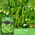 thumbnail image 4 of 3 Packs Oregon Sugar Pod II Pea Seeds - Non-GMO Heirloom Full Sun Annual Vegetable, 4 of 8