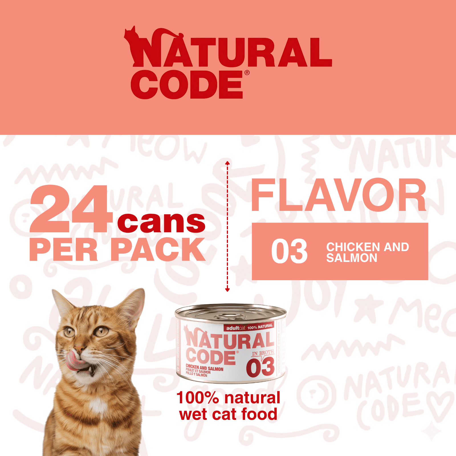 Natural Code - Wet Cat Food, Limited Ingredient Cat Food, High-Protein, Non-GMO, No Artificial Additives, Made In Italy, Chicken & Salmon in Broth for Adult Cats (3 oz, 24 Pack)