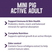 Mazuri Mini Pig Active Adult Food Complete Nutrition Supplements Minerals 25lbs