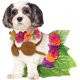 thumbnail image 1 of Rubie's Hula Girl Disfraz para mascota, pequeño, 1 of 1