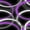 Purple Black White Gray, variant on Erosebridal Abstract Circular Ring Pattern Zipper Twin Comforter Sets with Fitted Sheet and 2 Pillowcases,Gradient Curve Print Zipper Bedding Set,Black White Gray,Black Reversible