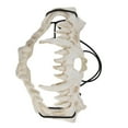 thumbnail image 3 of Skull , Lightweight Cosplay  Latex Durable  For Theater For Party For Festival, 3 of 8