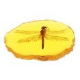 thumbnail image 1 of Belle Libellule Naturelle Ambre Fossile Vrais Insectes Manuel Polissage Papillon, 1 of 9