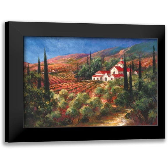 Fronckowiak, Art 14x11 Black Modern Framed Museum Art Print Titled - Tuscan Monastery