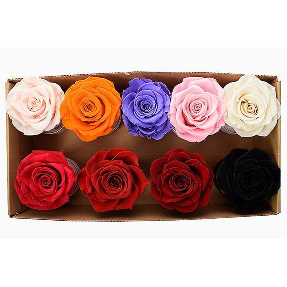 Immortal Floral Arrangement Box,Mini Hug Bucket Preserved Mini Hug Bucket Small Flower Bucket Built for the Future