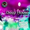 thumbnail image 2 of Deep House MEGA Bundle Part 1 - 10 Large Essential WAVE Samples/Loop Studio Libraries. Download library!, 2 of 11