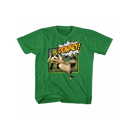 Shrek Movie Donkey Kelly Heather Toddler Little Boys T-Shirt Tee