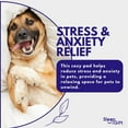 thumbnail image 3 of Infrared Health Blanket for Pets – Calming Pad for Dogs, Cats & Small Animals – Stress Relief, Relaxation, and Cozy Comfort – Ideal Gift for Pet Owners, 3 of 7
