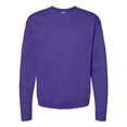 thumbnail image 1 of Hanes ComfortBlend&reg; EcoSmart&reg; Sudadera con cuello redondo Hanes P160, 1 of 1
