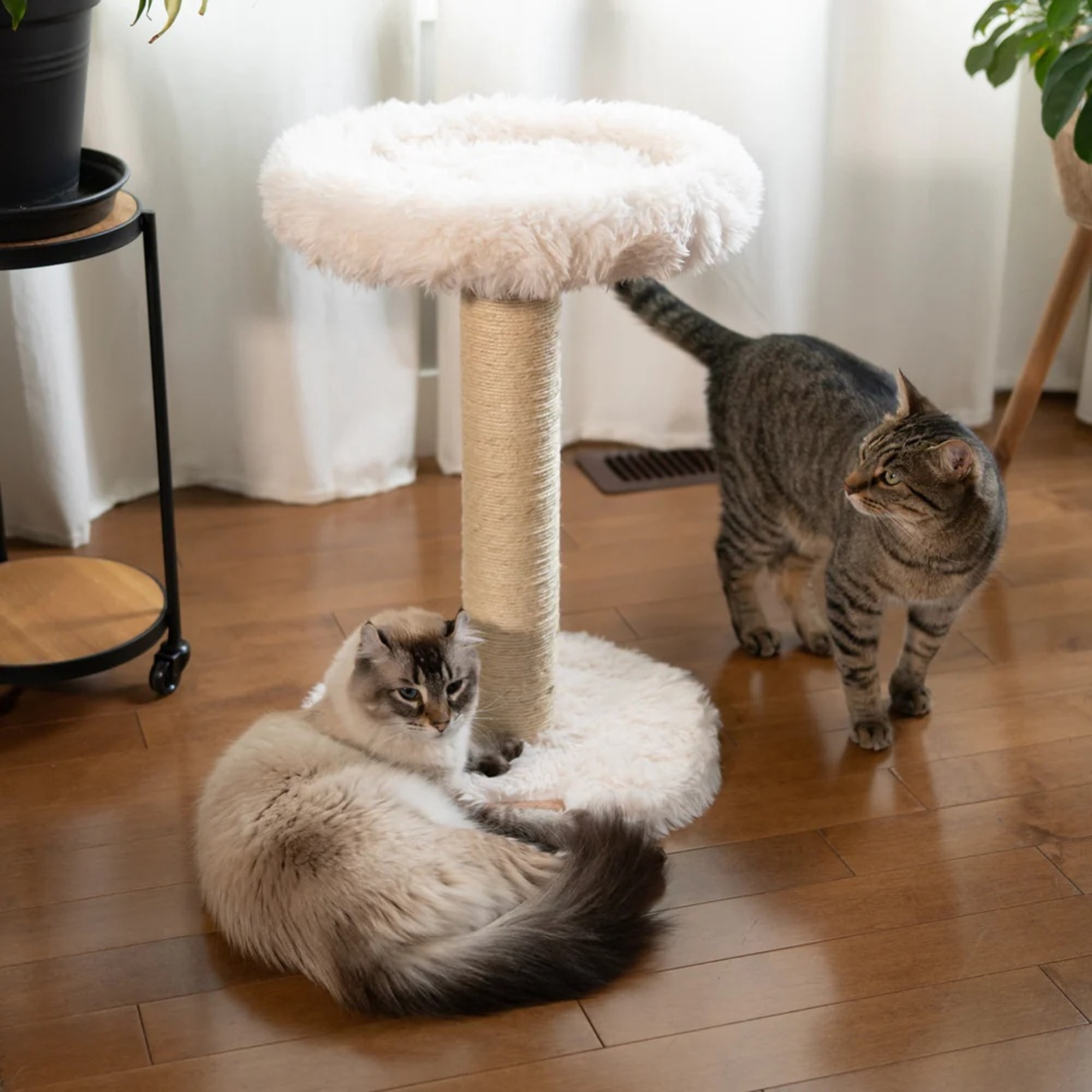 Noba: Classic Cat Tree - Antique White - 1-Level Round Perch, Cozy Faux Fur, Scratchable Rope Post, Climb-Play-Sleep, Animal Pet Lounge, 16 x 24"