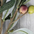 thumbnail image 2 of 2Pcs Simulation Olive Decoration Fake Plant Photography Props Flower Arrangement Supplies, 2 of 4