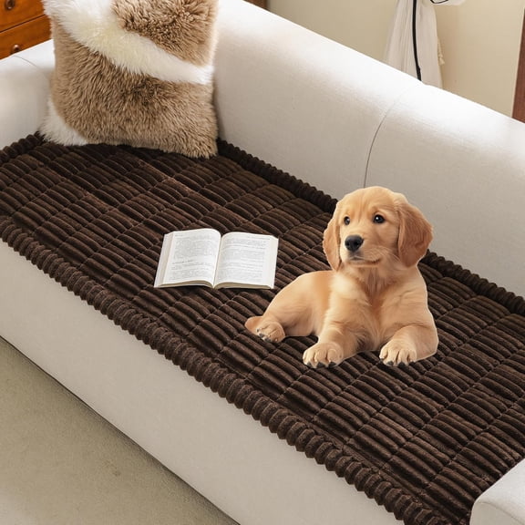 Lanola Couch Covers for 2 Cushion Sofa, Couch Cover for Dogs, Sofa Covers for Pets Washable, Soft Non-Slip Sofa Slipcovers, Loveseat Couch Covers, Furniture Protector, Dark Grey, 27.6" x 59"