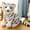 White, variant on Chamoist Tigers Stuffed Animal Plush Toy,Cute Lifelike Tiger Stuffed Animals Dolls,Kids Toy Gift for Boy Baby Sitting Tiger,Lifelike Stuffed Plush Animal