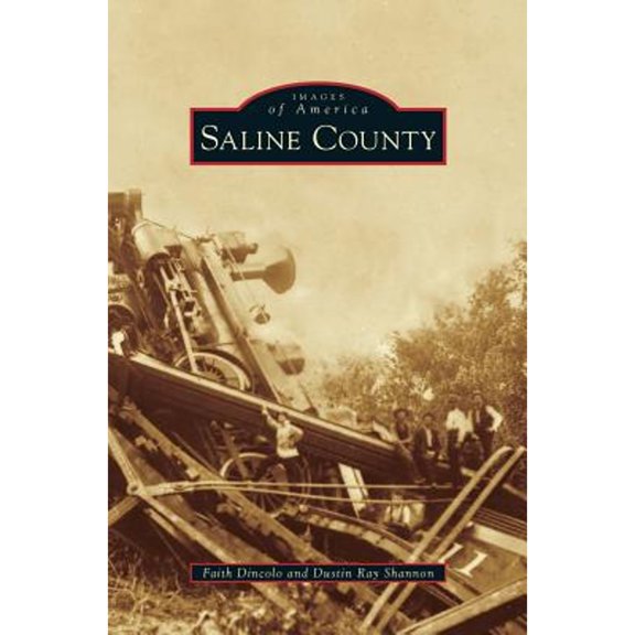 Saline County (Hardcover)