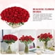 thumbnail image 5 of Rosas artificiales Rowfad Velvet Silk Red 60 unidades, 5 of 9