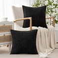 thumbnail image 2 of Zahazoho Set of 2 Chenille Throw Pillow Covers 18x18", Soft Premium Plush  Cushion Case with Hidden Zipper for Sofa Couch Bed, Black, 2 of 6
