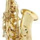 thumbnail image 5 of Saxofón Latón Eb Alto Saxofón Instrumento de viento de madera lacado dorado con estuche de transporte Guantes Cepillo de paño de limpieza Correa de saxofón Mudo Boquilla Cepillo TOMSHOO Saxofón, 5 of 6