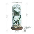 thumbnail image 2 of Regalo navideño para mujeres: rosas brillantes con cúpula de cristal, 2 of 5