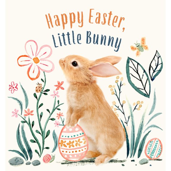 Pre-Owned Happy Easter, Little Bunny: A Board Book (Baby Animal Tales), 9781419766640, 1419766643, Paperback,