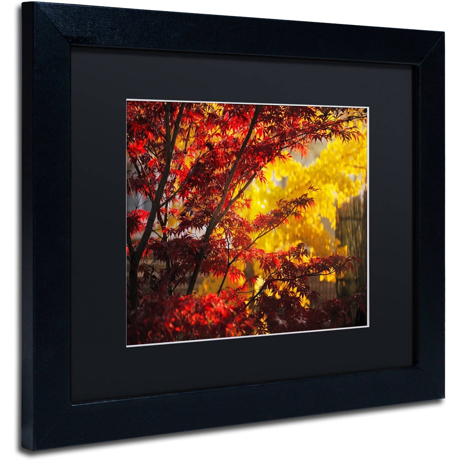 Trademark Fine Art "Transits" Canvas Art by Philippe Sainte-Laudy Black Matte, Black Frame