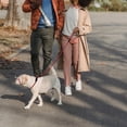 thumbnail image 4 of Retractable Dog Leash Automatic Durable 360 Degree Free Rotation Comfort Explosion Proof Pet 360 Tangle Free Retractable Dog Leash Strong Nylon Tape, 4 of 7
