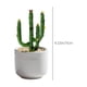 thumbnail image 3 of Flores artificiales, plantas artificiales, flores falsas, pequeños adornos esmaltados, cactus, plantas en maceta, oficina, vidrio, artesanías, regalos, hogar, interior, pequeños adornos esmaltados., 3 of 6