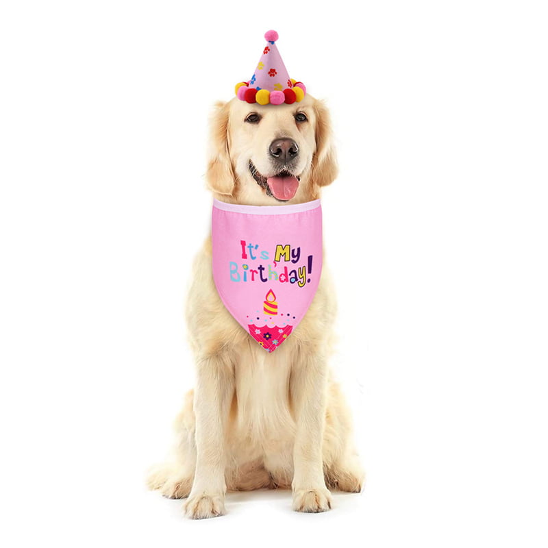 Dog Cat Shiny Birthday Hat Pet Bowknot Bowtie Party Costume Birthday Cute Gift 