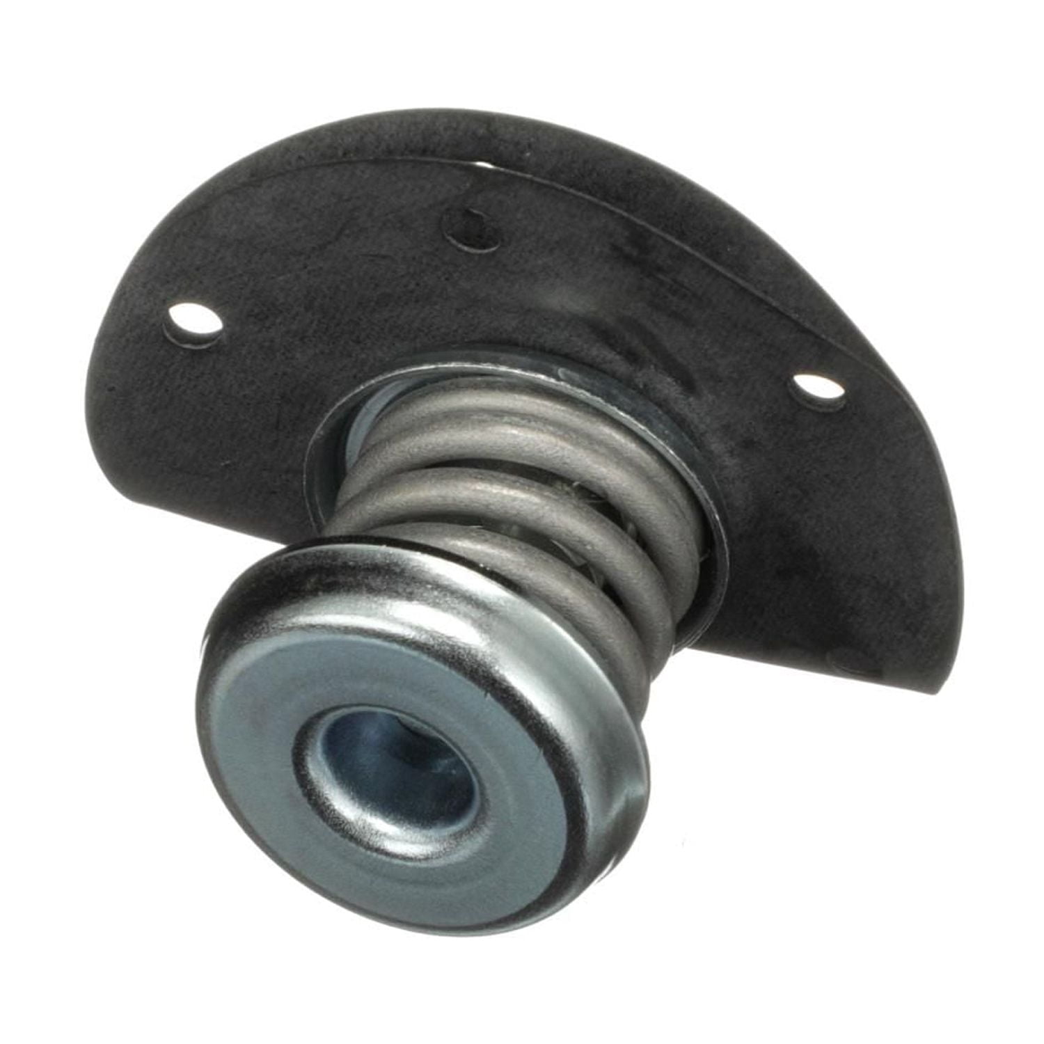Fuel Injection Pressure Regulator